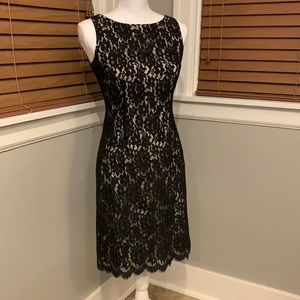 Gorgeous black lace Ann Taylor Petites Dress